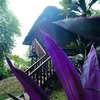 Cerf Island Marine Park Resort Deluxe 